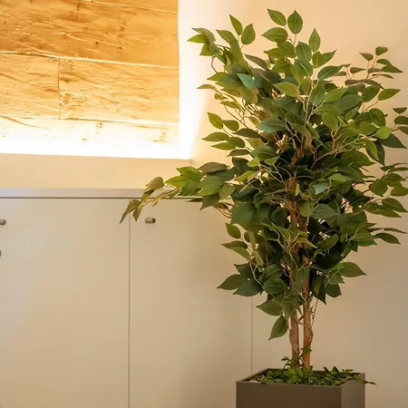 Apartman Joderestutz Reckingen